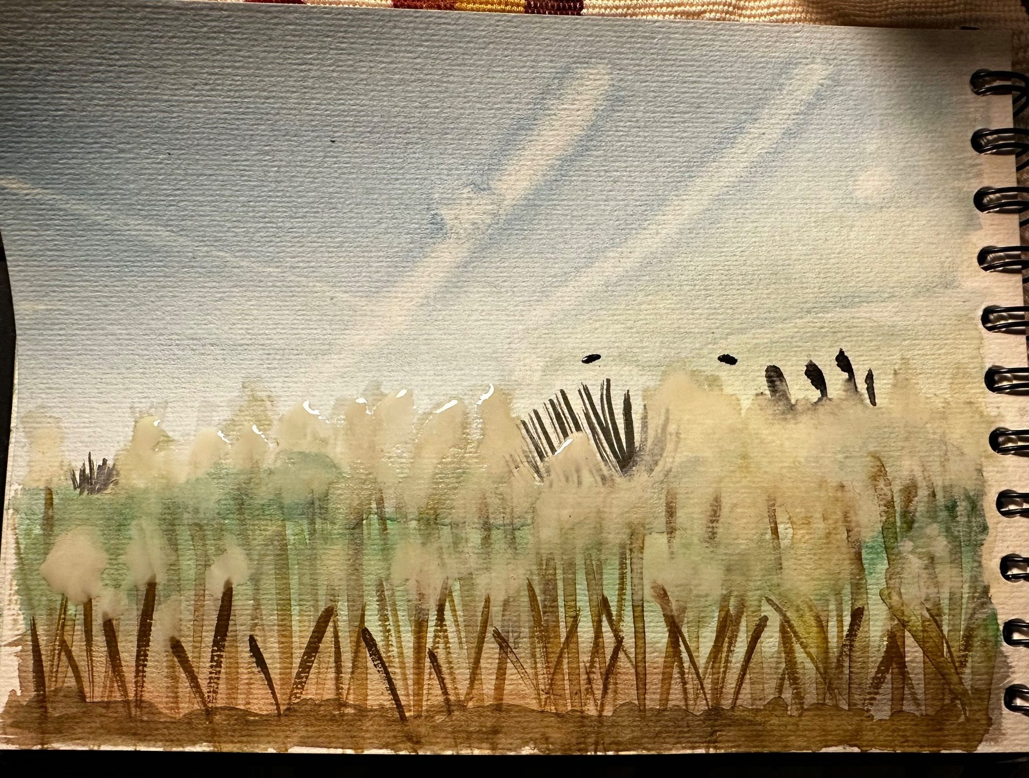 Watercolour on paper