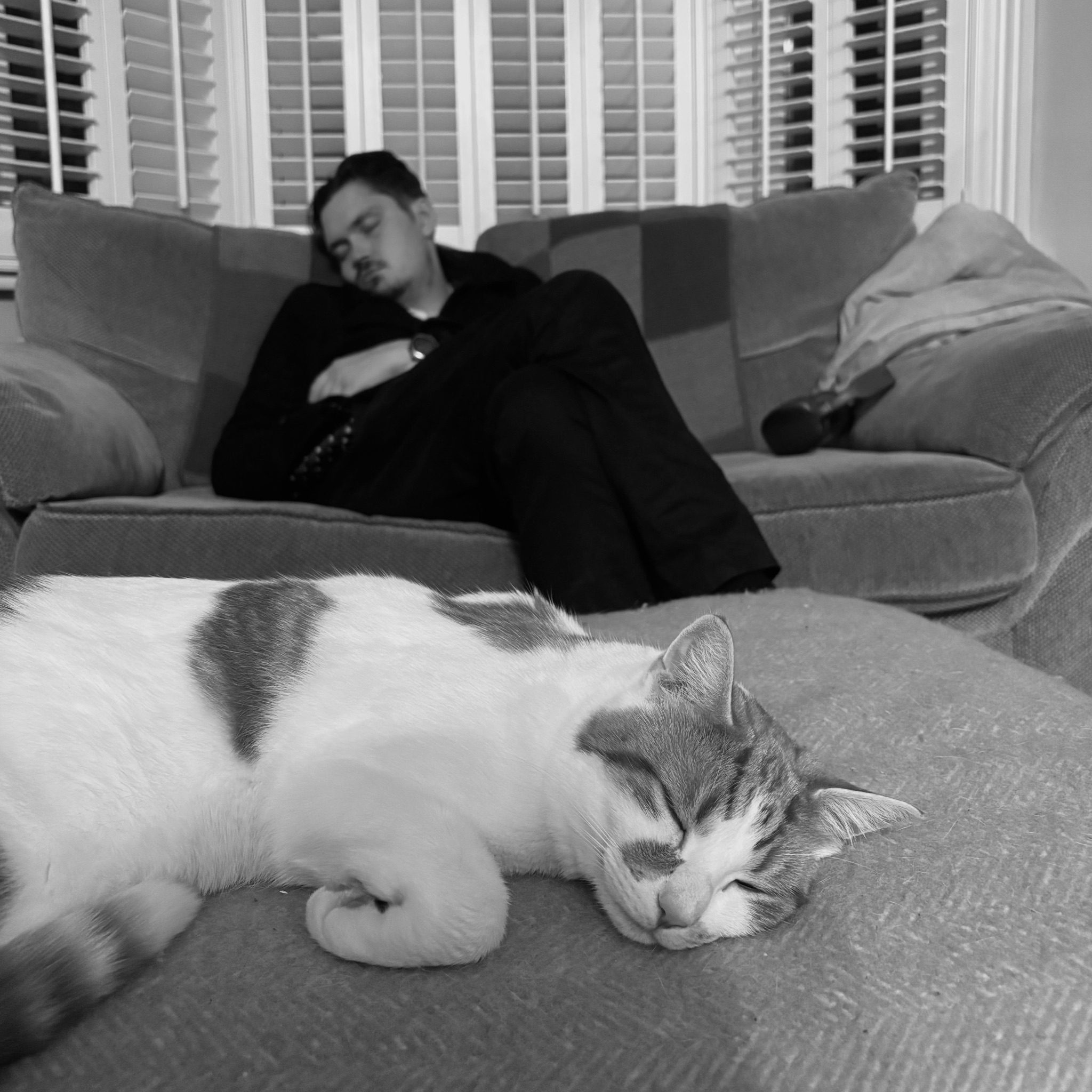 A man and his cat looking knackered