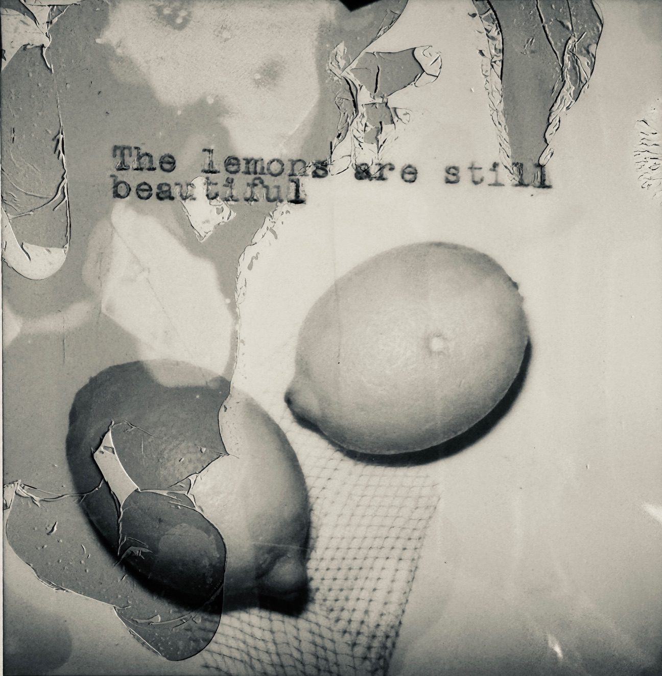Black and white still life abstract photograph of two lemons. Typed text is on the image