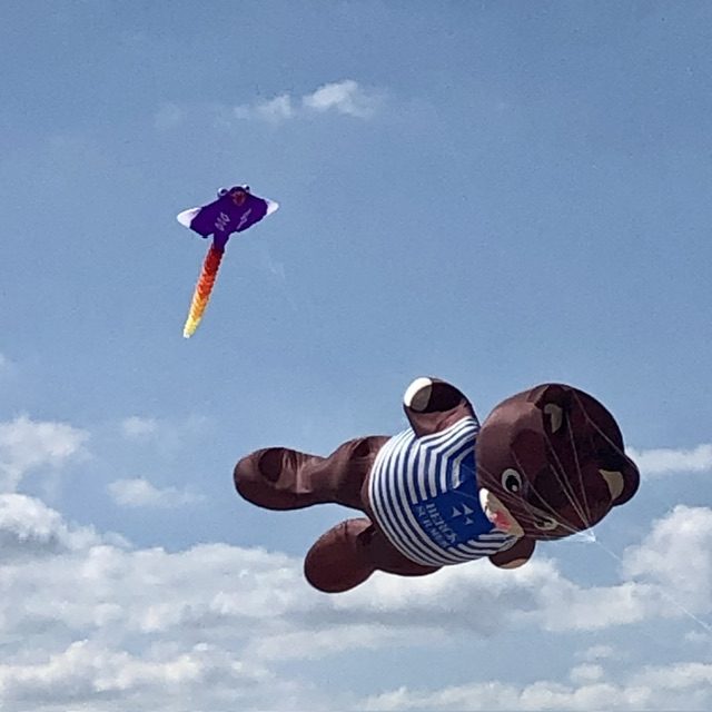 Two kites in the sky: one in the shape of a bear and the other a multicolored manta ray?