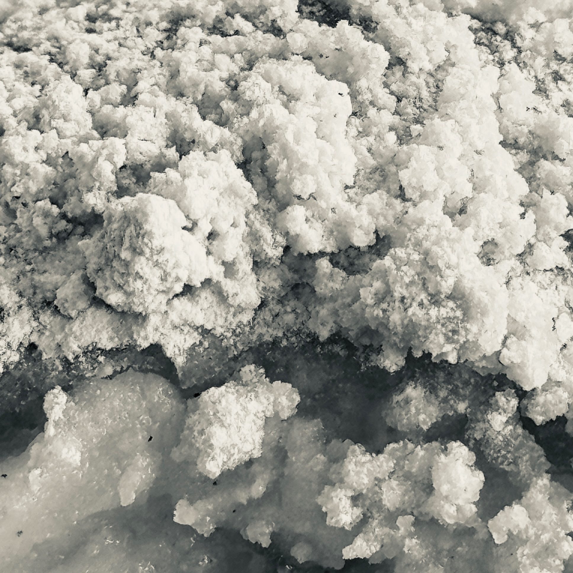 A black and white macro abstract photographic image of crumbling and custard