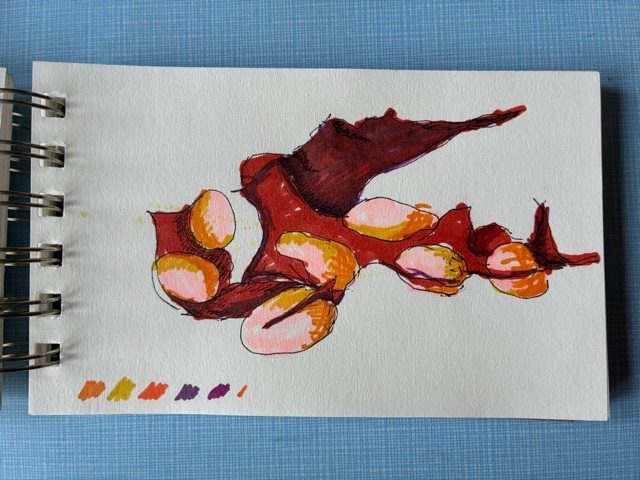 Pen and ink drawing if seaweed using pink, brown, purple and orange
