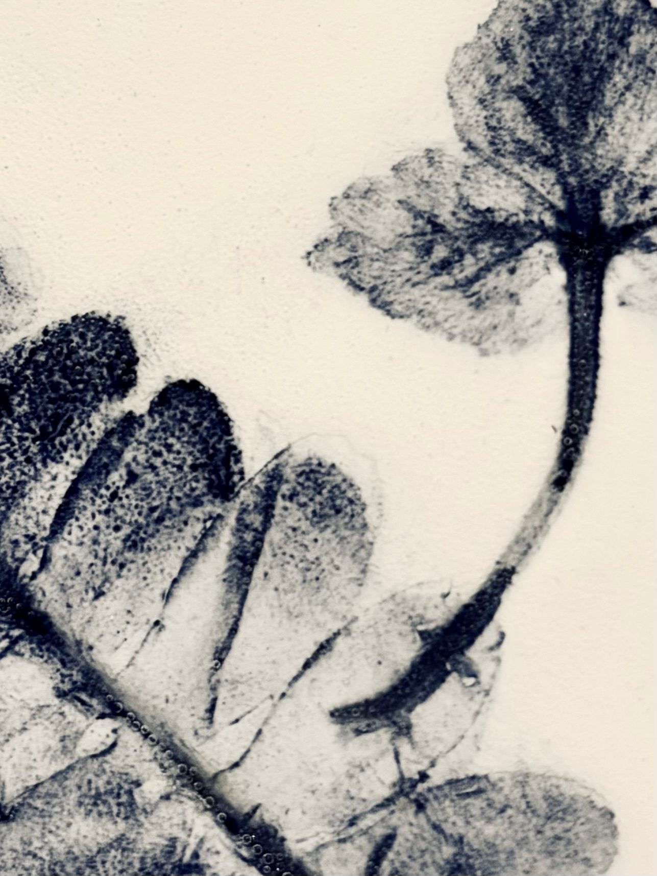 Etching on porcelain, fired with ink and glaze