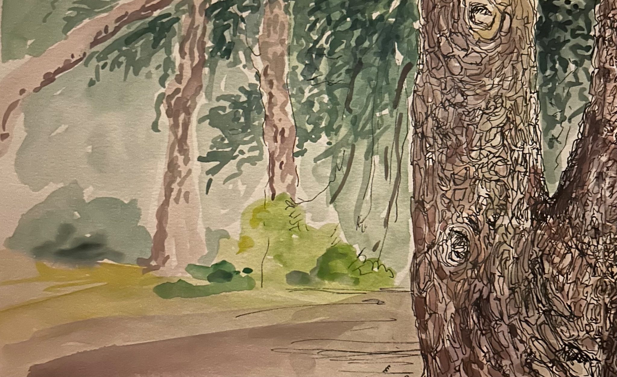 Watercolour sketch of trees