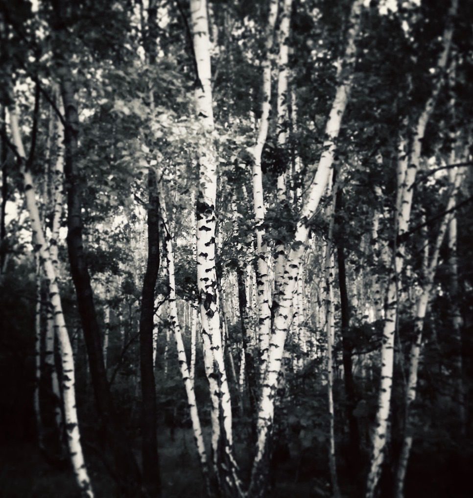 Scottish Highlands, black and white photo