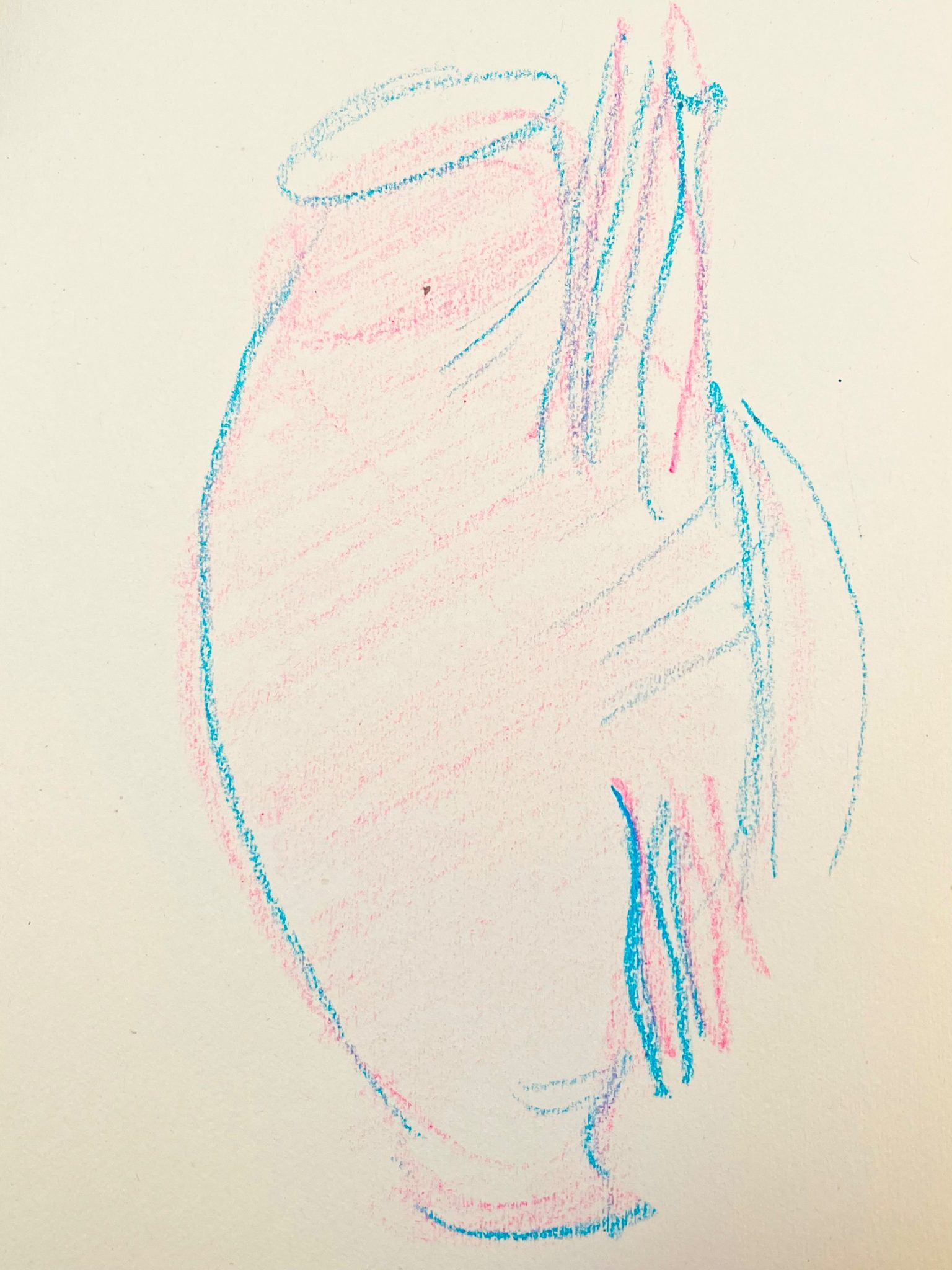 A sketch of a pot drawn in pink and blue crayon.