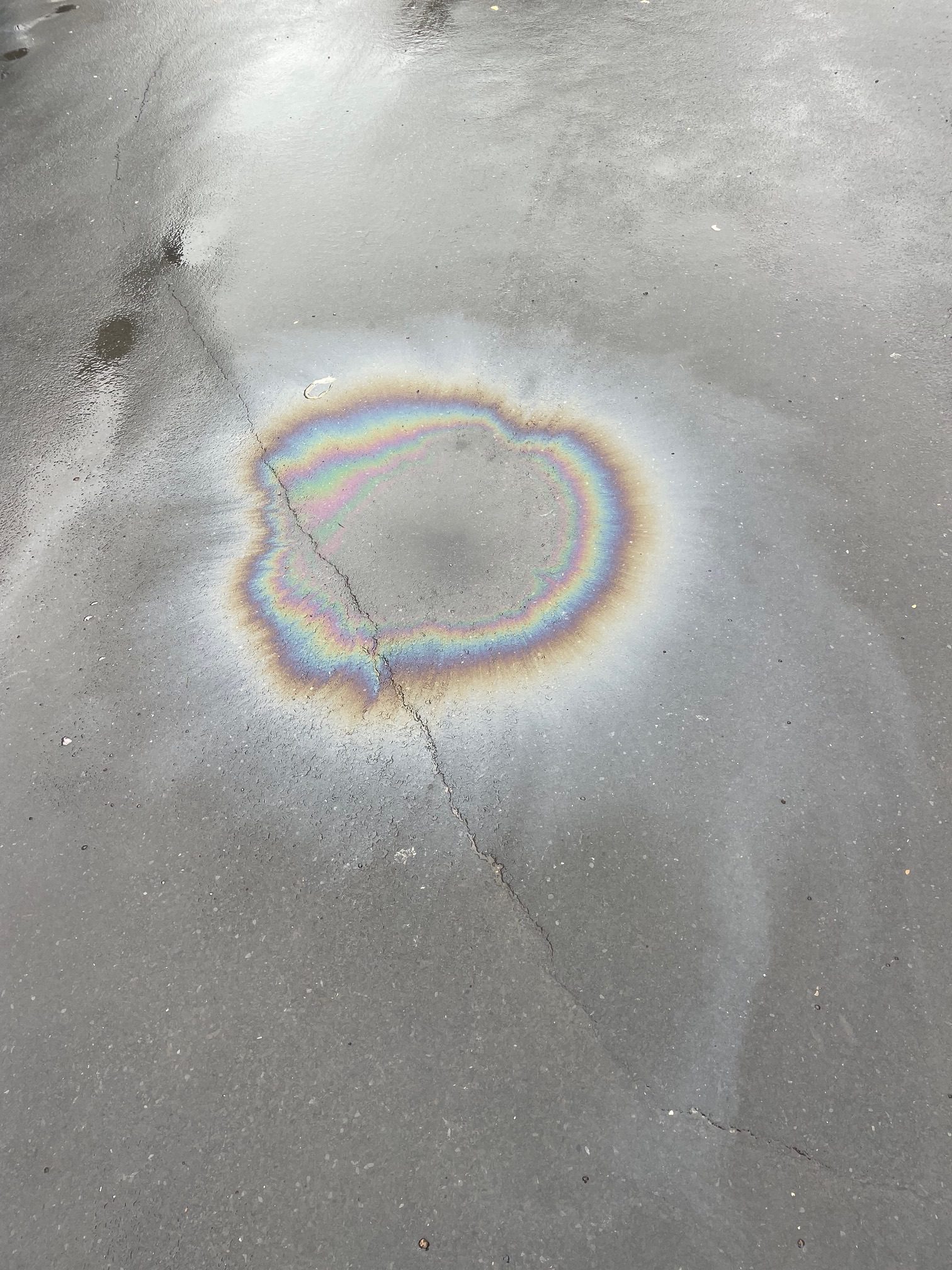 Photo of a petrol stain on a wet road