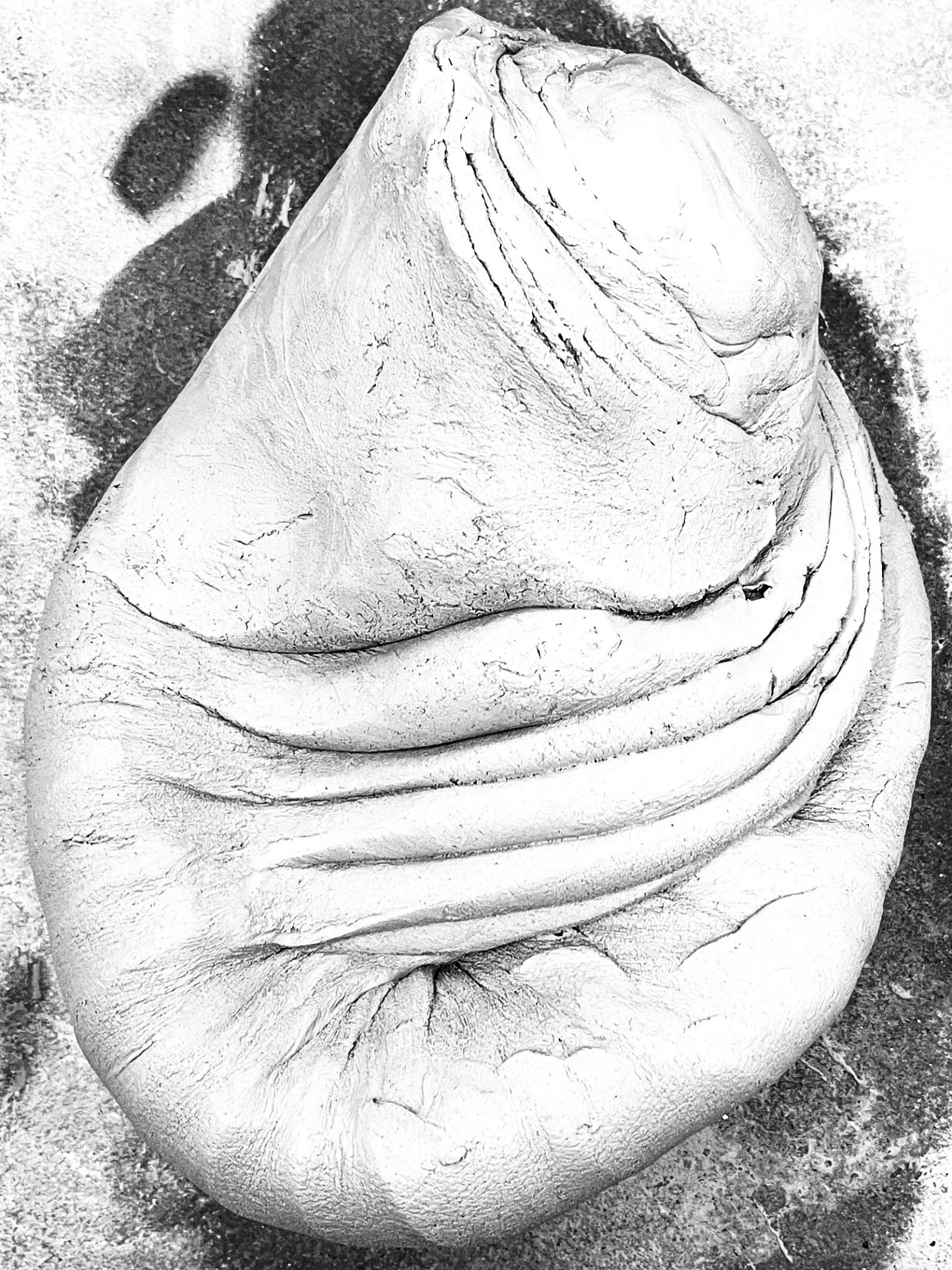 A black and white image of a large lump of clay being spiral wedged.
