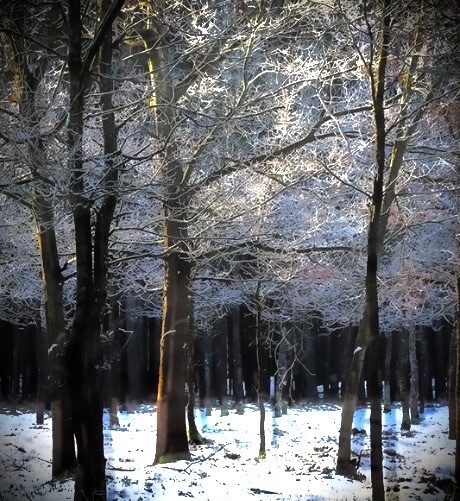 Black and white photo