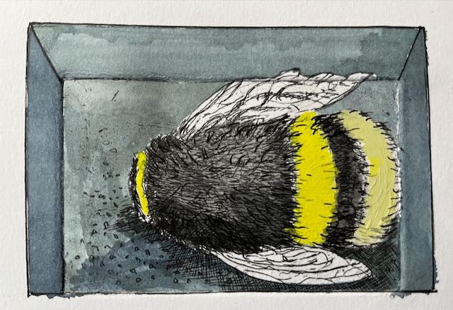 Etching and watercolour - for Simon Woods poem 