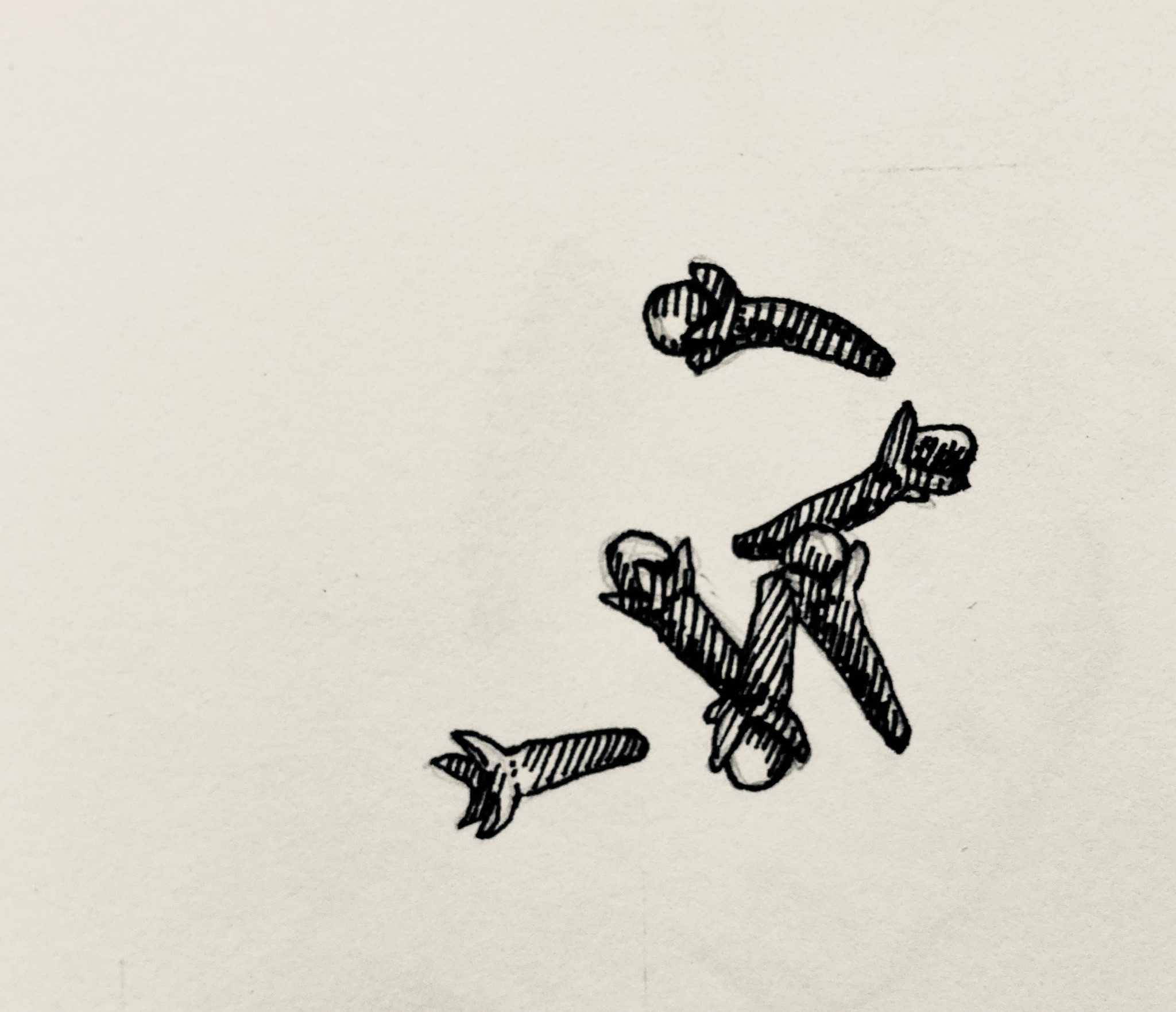 Fineliner drawing of 6 cloves