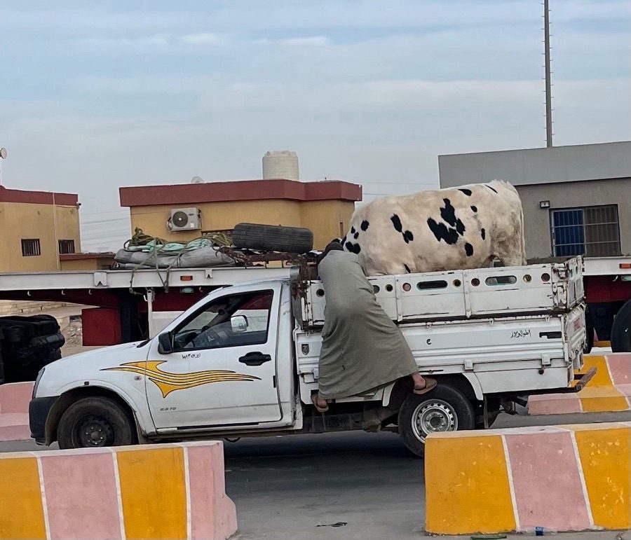 Photograph Desert Egypt