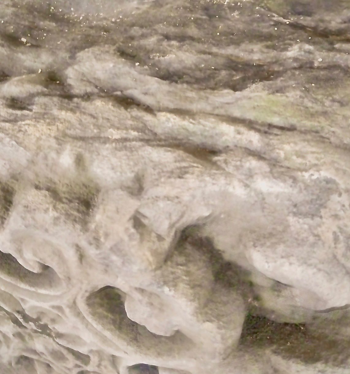 Black and white photo