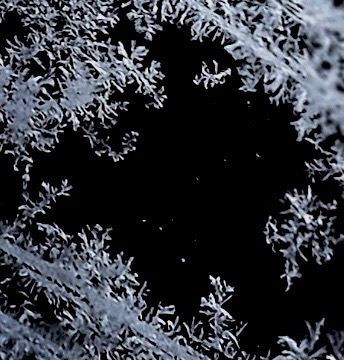 Black and white photo