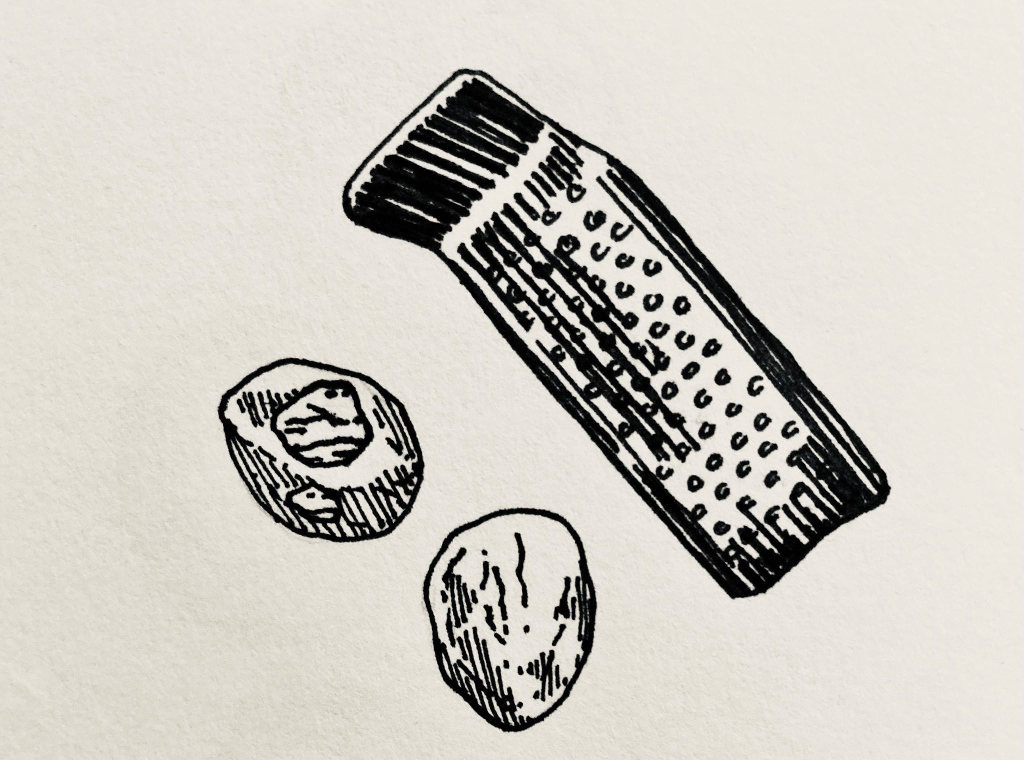 Fineliner drawing of two nutmegs and a grater