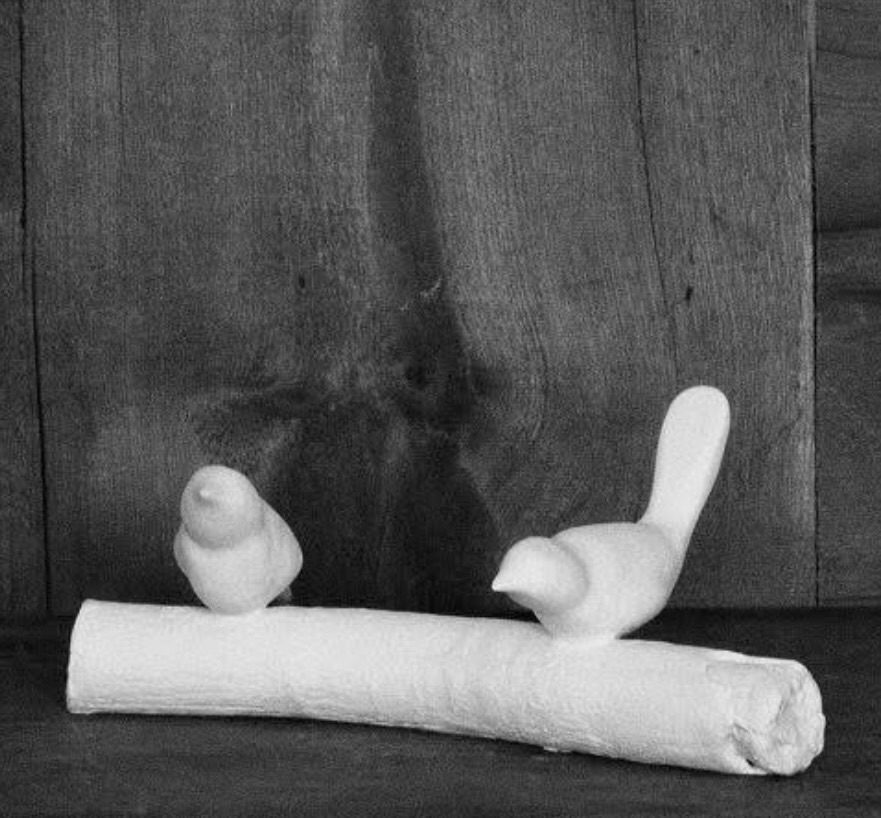 Bone china porcelain