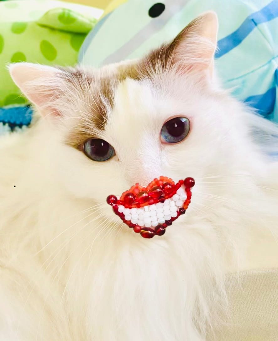 beaded embroidery smile digitally edited onto a photo of my lovely cat