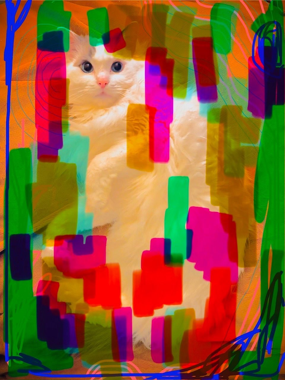 edited photo of a cat with digital doodles layered on top with vibrant colours