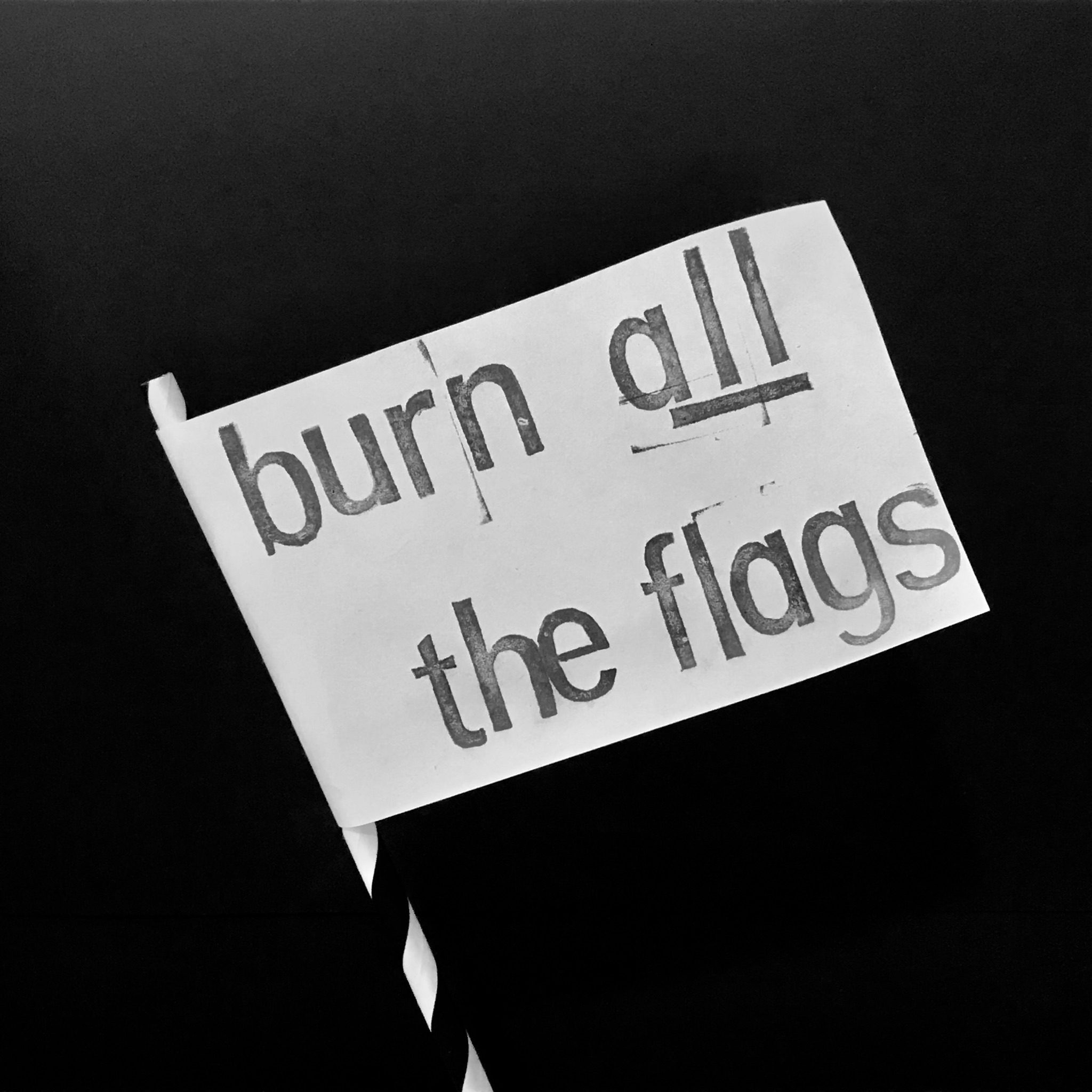 A flag on a flagpole with 'burn all the flags' printed on it.