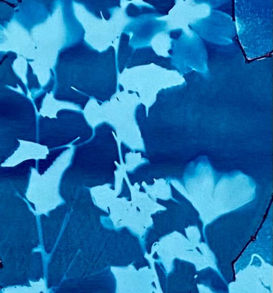 Cyanotype on paper
