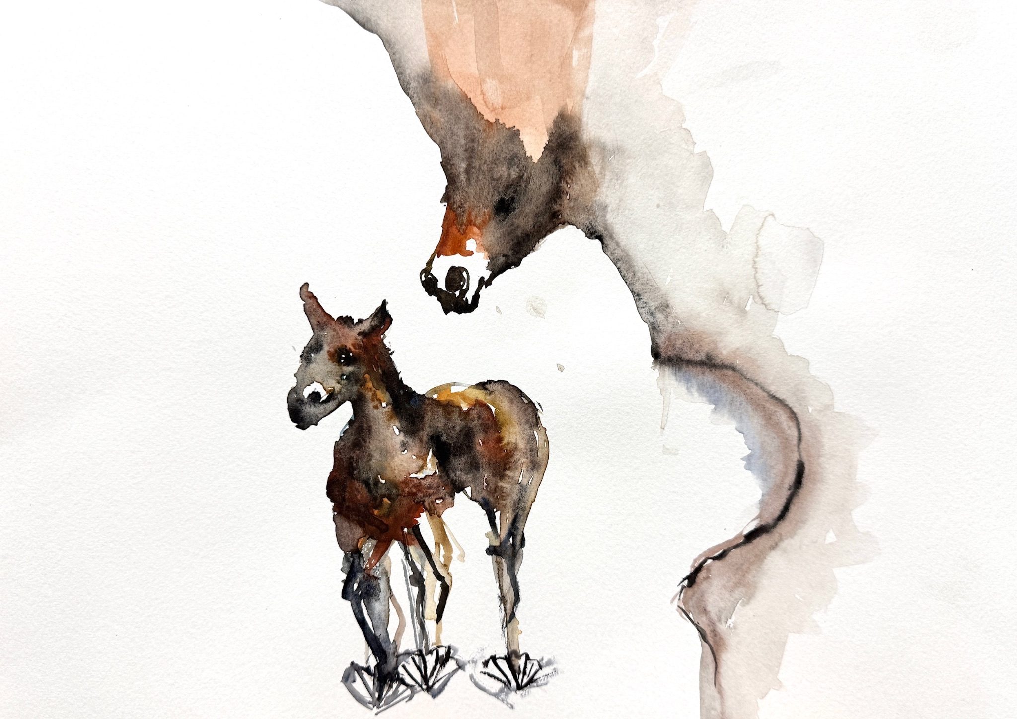 Watercolor and ink on paper