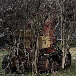 An old caterpillar tractor is a prisoner of branches and shrubs that have grown around it, as if to embed it ,In the middle of a meadow