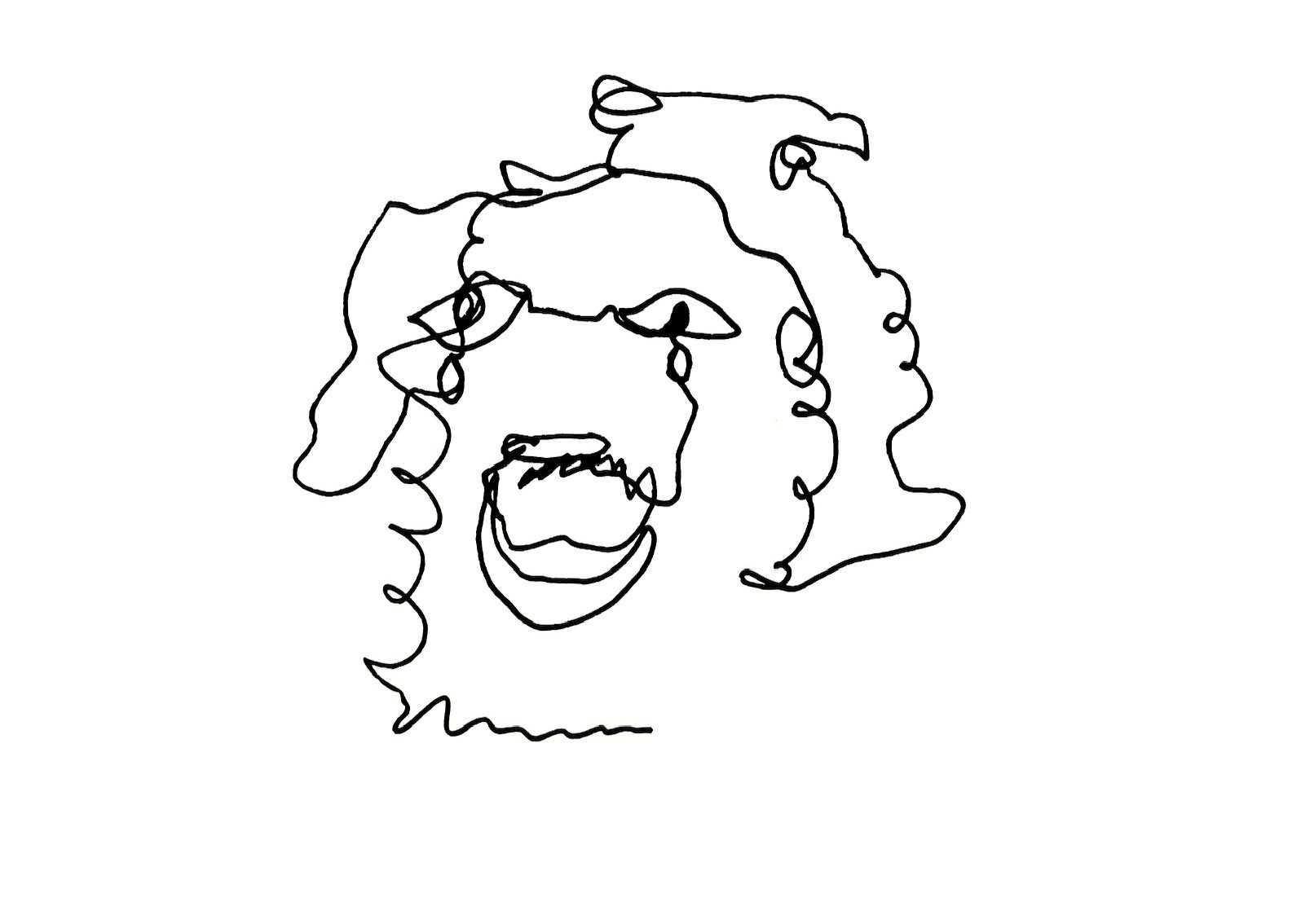 A fineline figurative drawing of an abstracted face drawn without taking the pen off the paper.