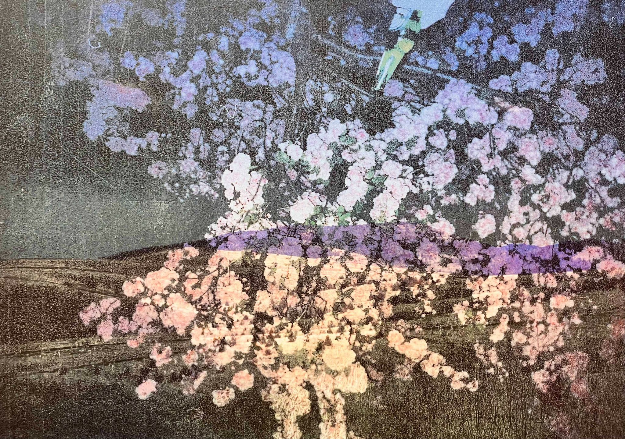 Landscape overlay, expired 35 mm film