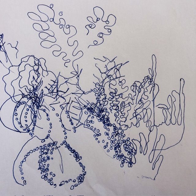 Drawing with a blue pen, blindfolded, representing sea urchins, corals, algae. Only the contours of the elements are drawn