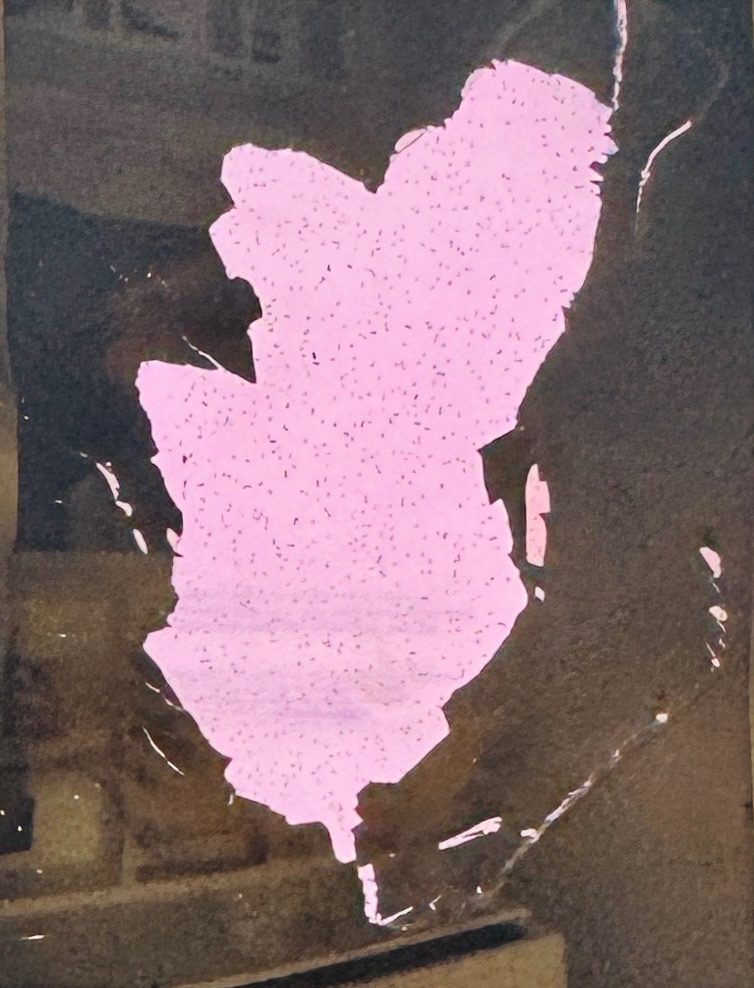 Burnt & torn instax photo