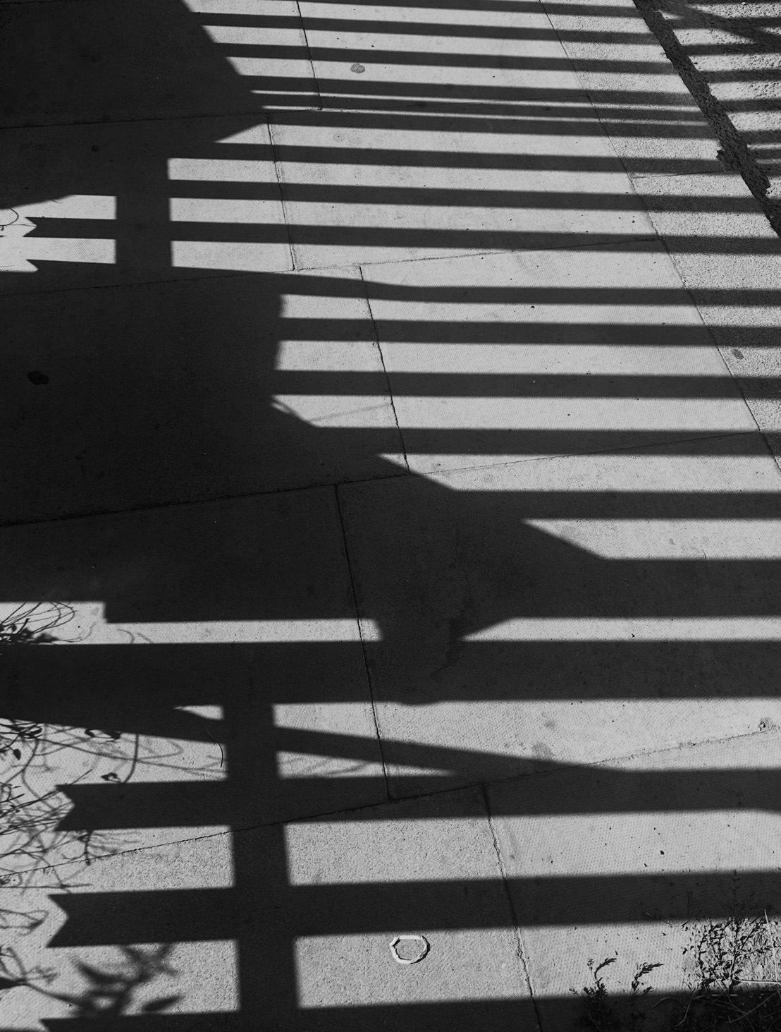 Black & white digital photograph