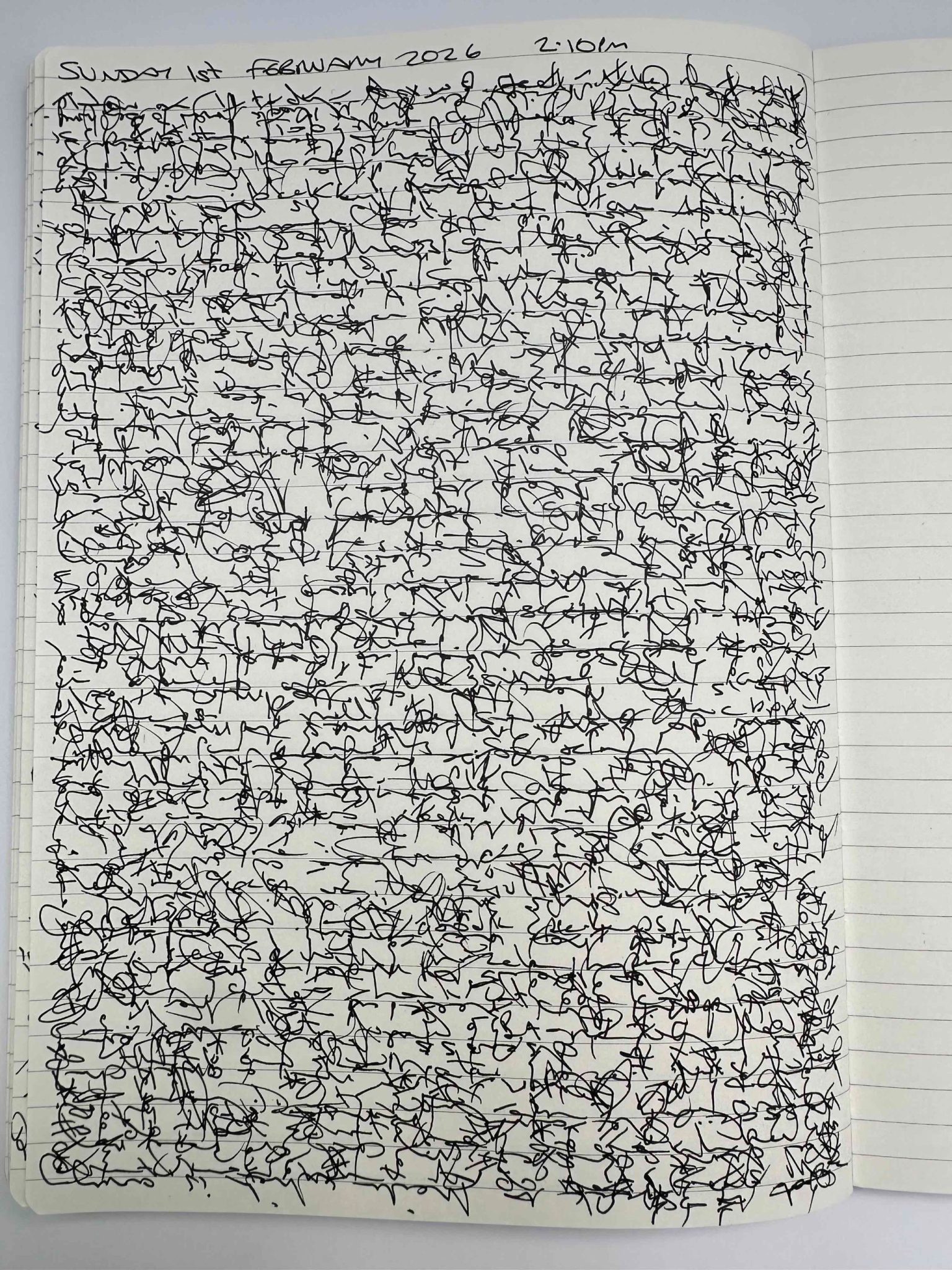 Daily three page journal written on one page overlapping the words in different directions