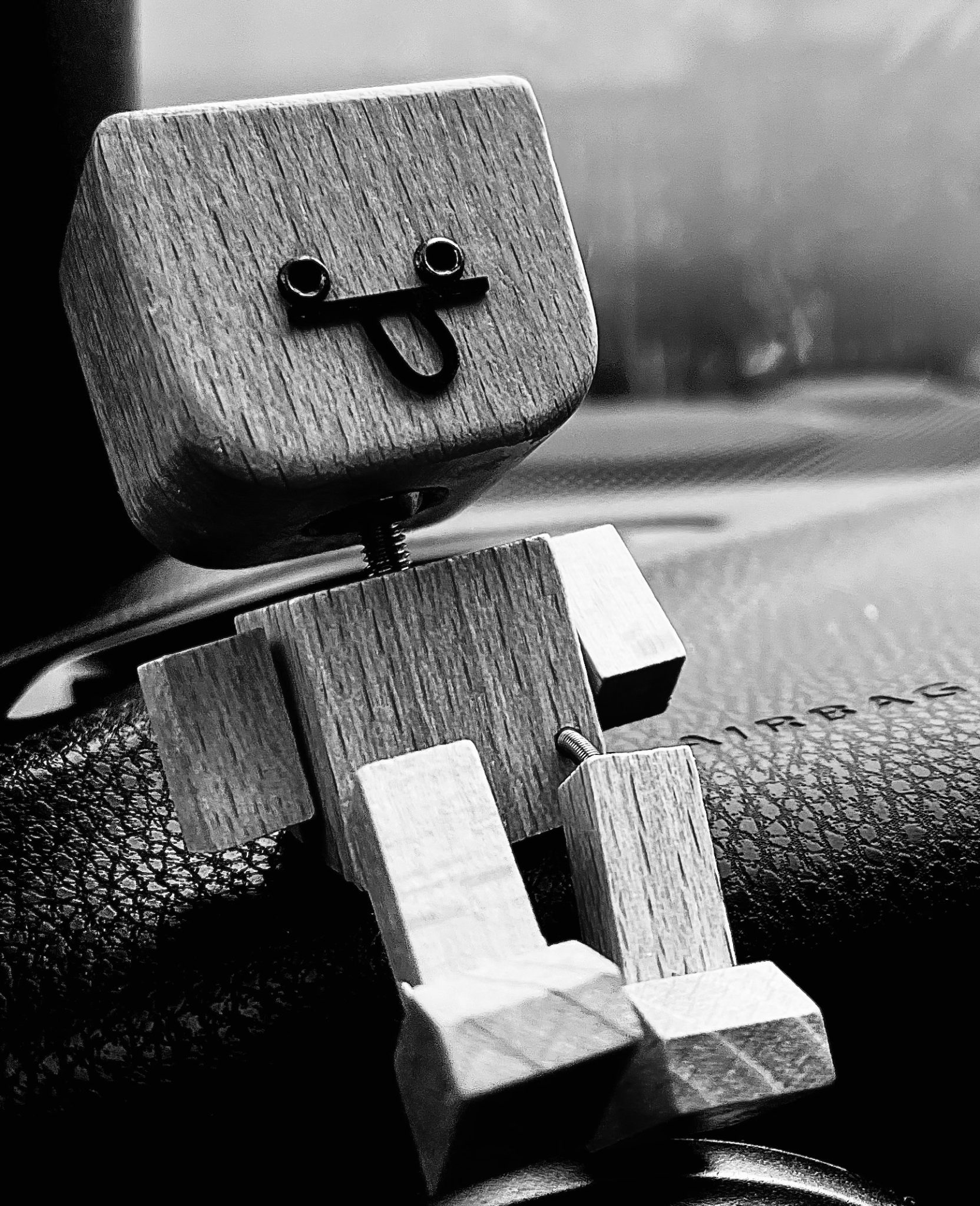 A photograph of Our little travel companion that sits in the car