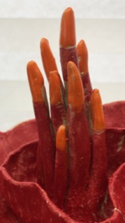Red and orange ceramic close-up: like a coral flower with corollas and spikes like pistils