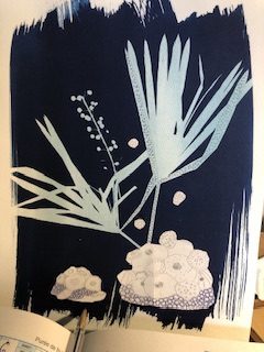 A cyanotype with 3 herbs, I glued at the bottom of the corals with a pencil and pen