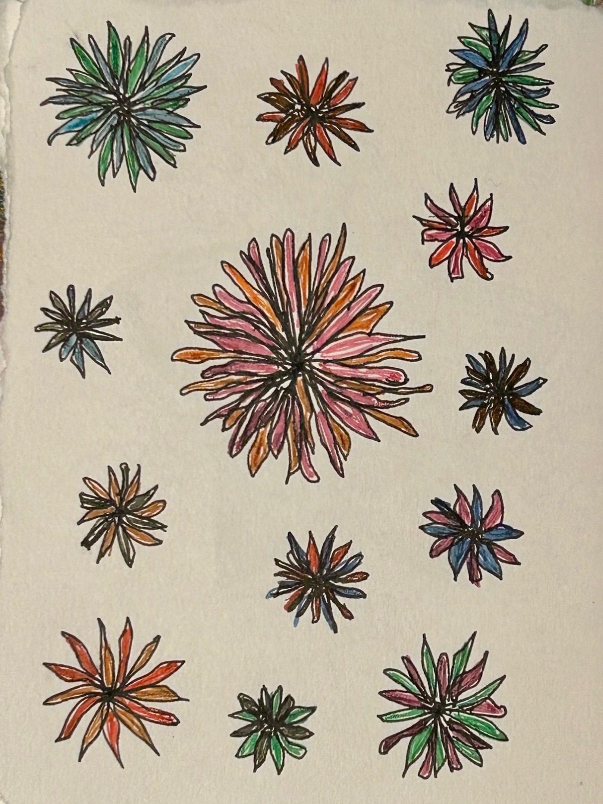 Pending drawing of colourful chrysanthemum-like flowers
