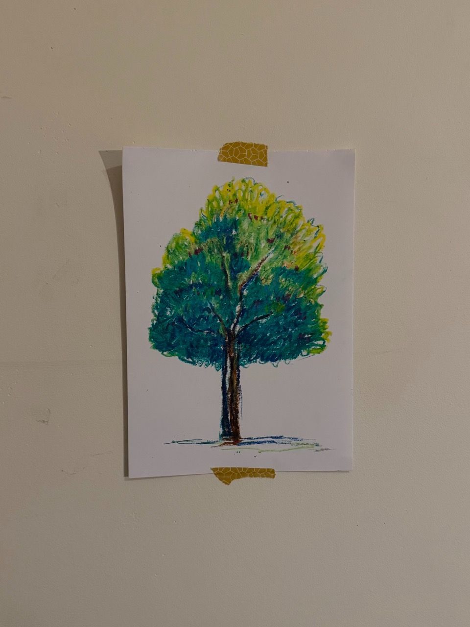 drawing of a tree with oil pastel