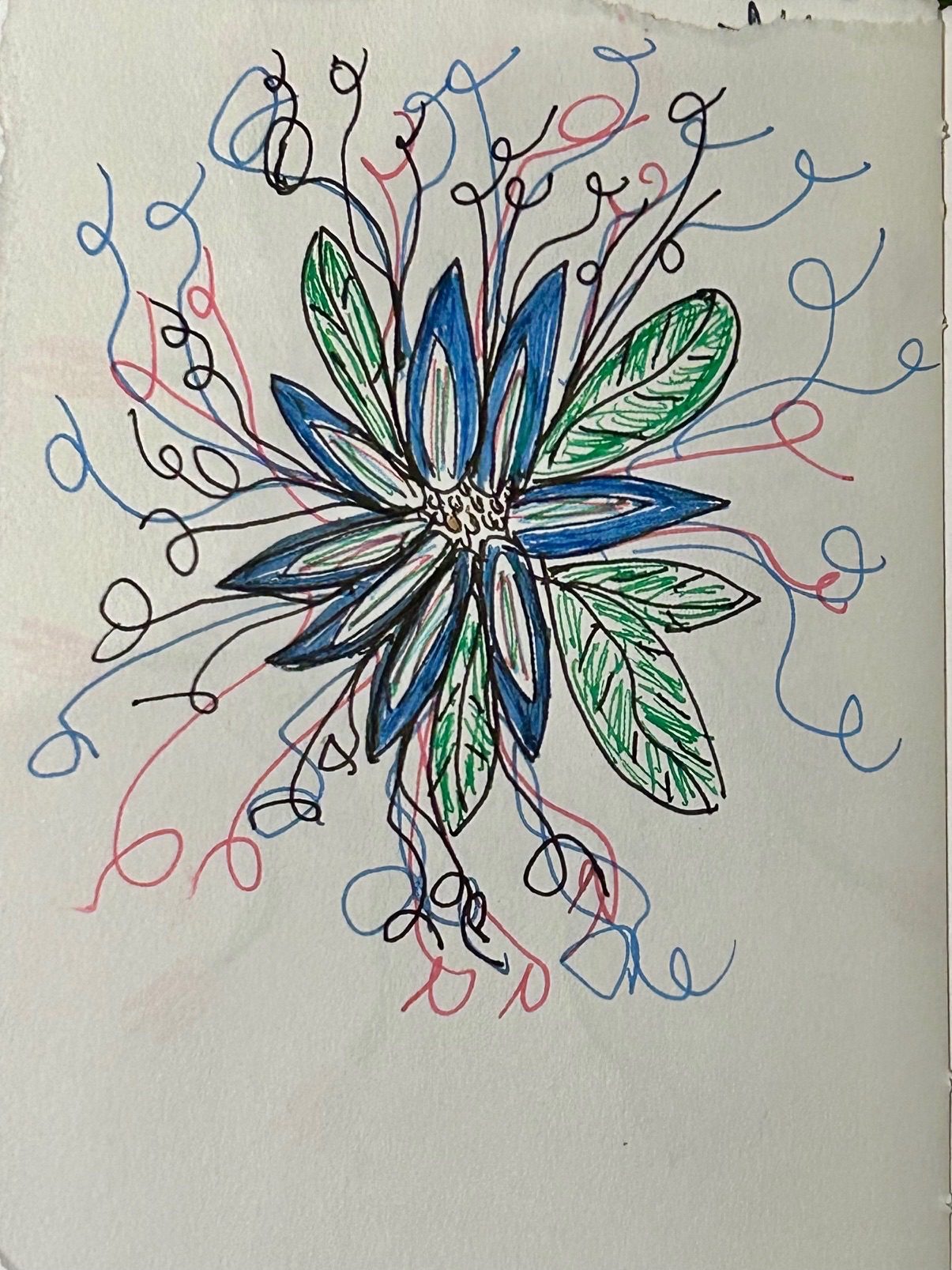 Pen and ink drawing of an imaginary flower, multicoloured