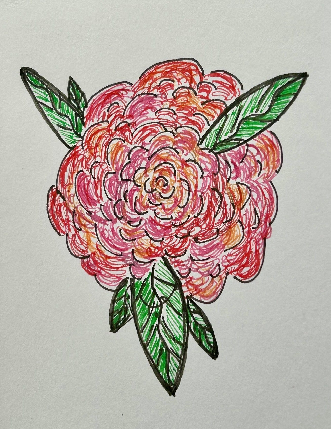 Pen and ink drawing of a flower