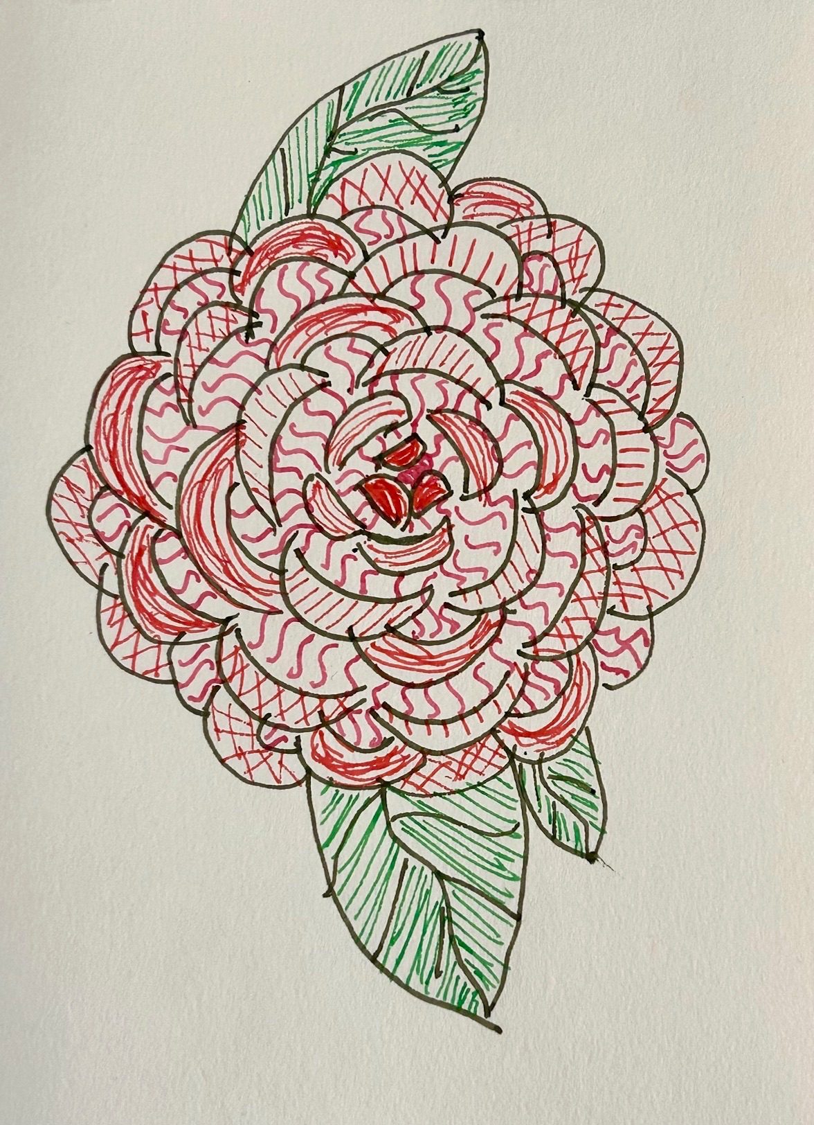 Drawing of a rose like flower
