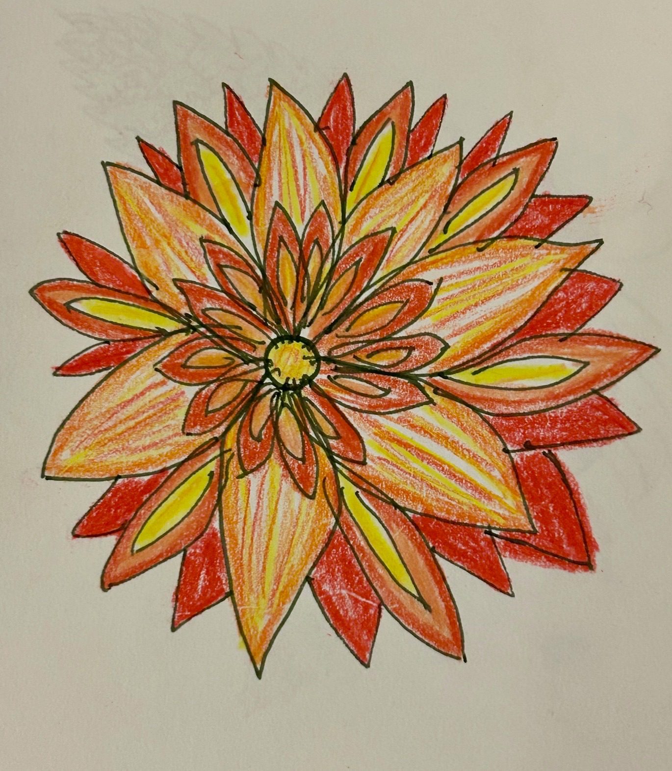 Cohler pencil drawing on paper of an imaginary Dahlia