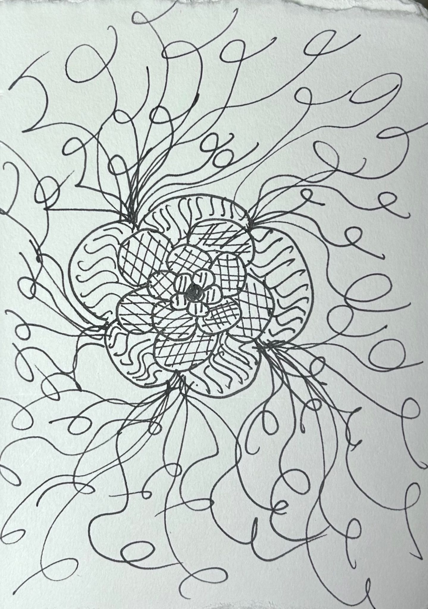 Ink drying of an imaginary flower with lots of curlicues coming off of it