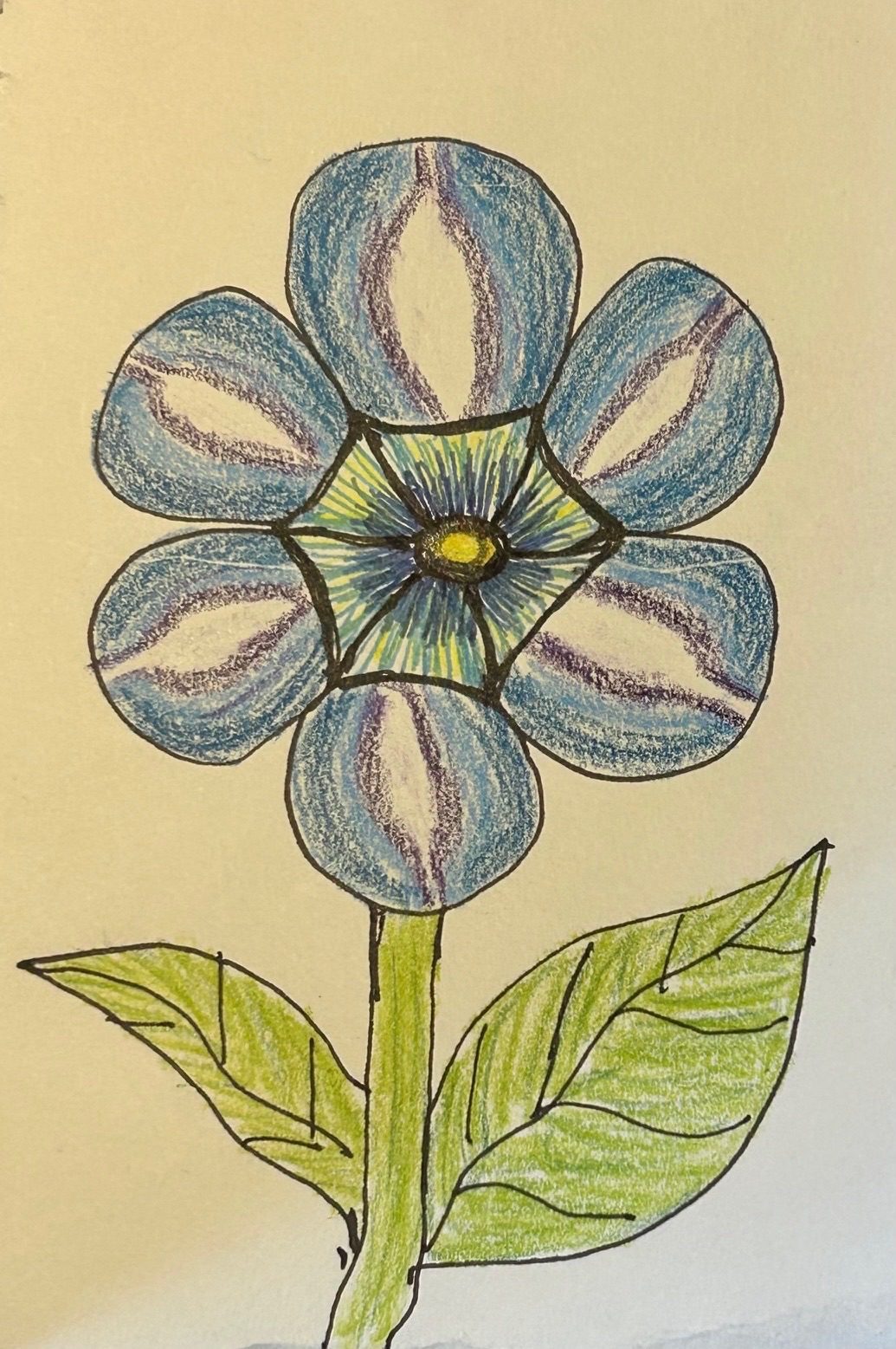 Ink and coloured drawing pencil of a flower