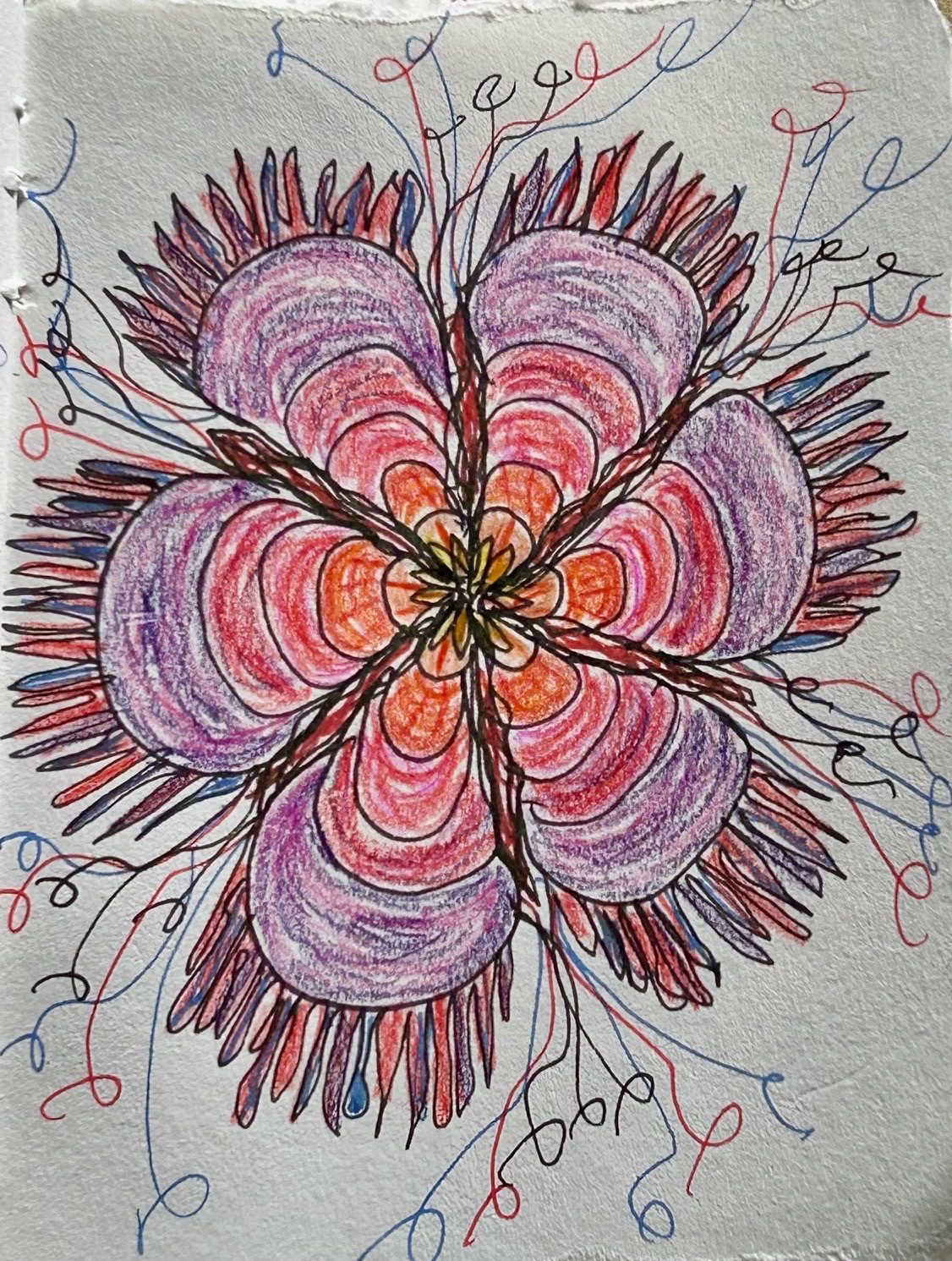 Ink and coloured pencil drawing of flower