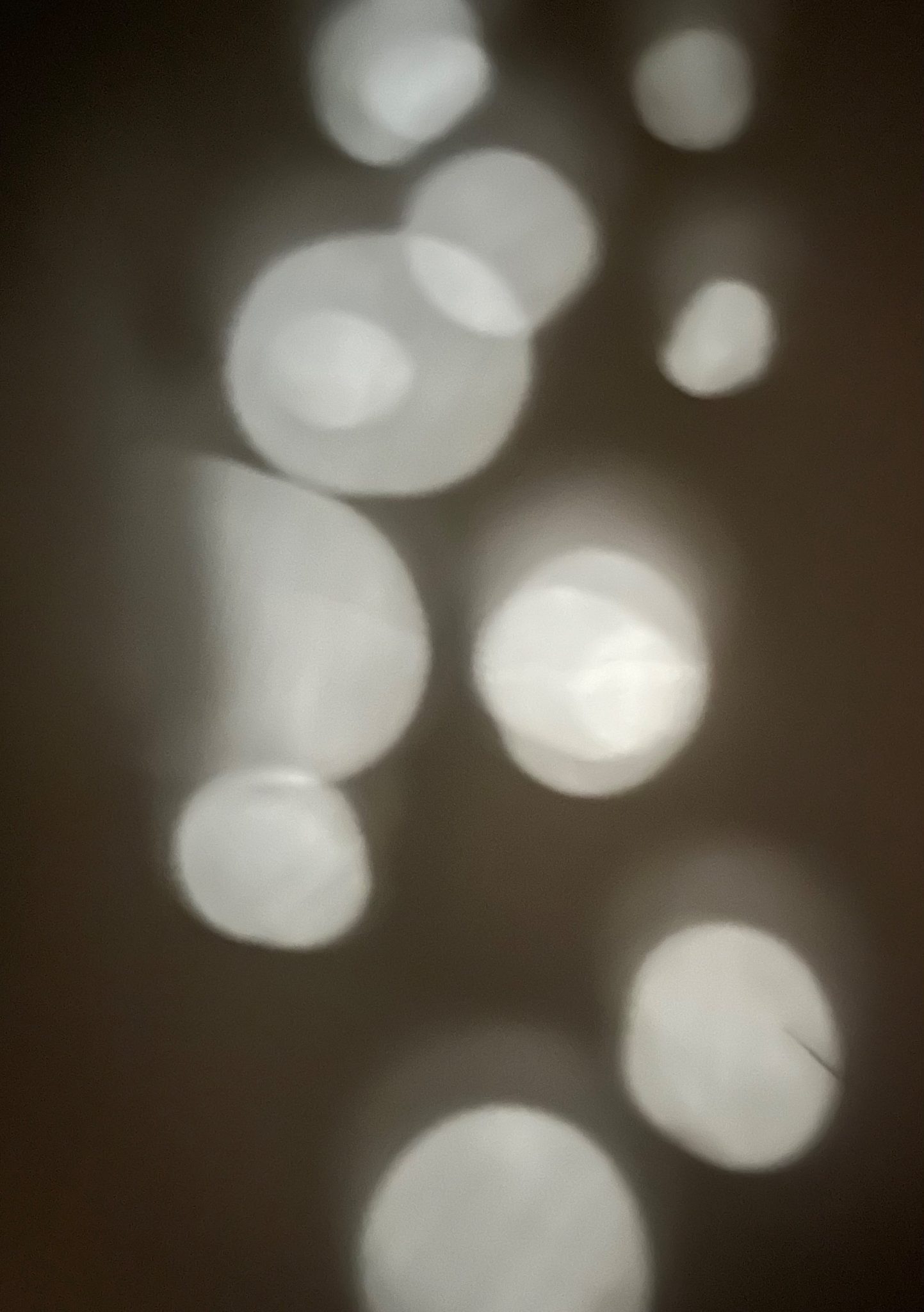 Photograph of shadows on a wall.