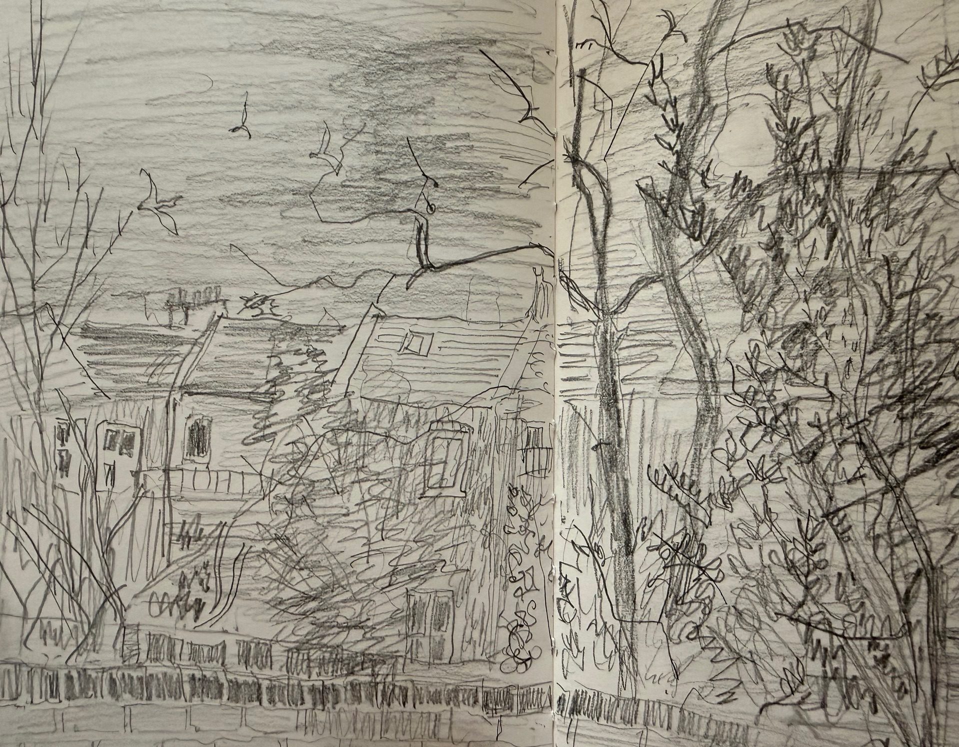 Daily pencil drawing in my sketchbook