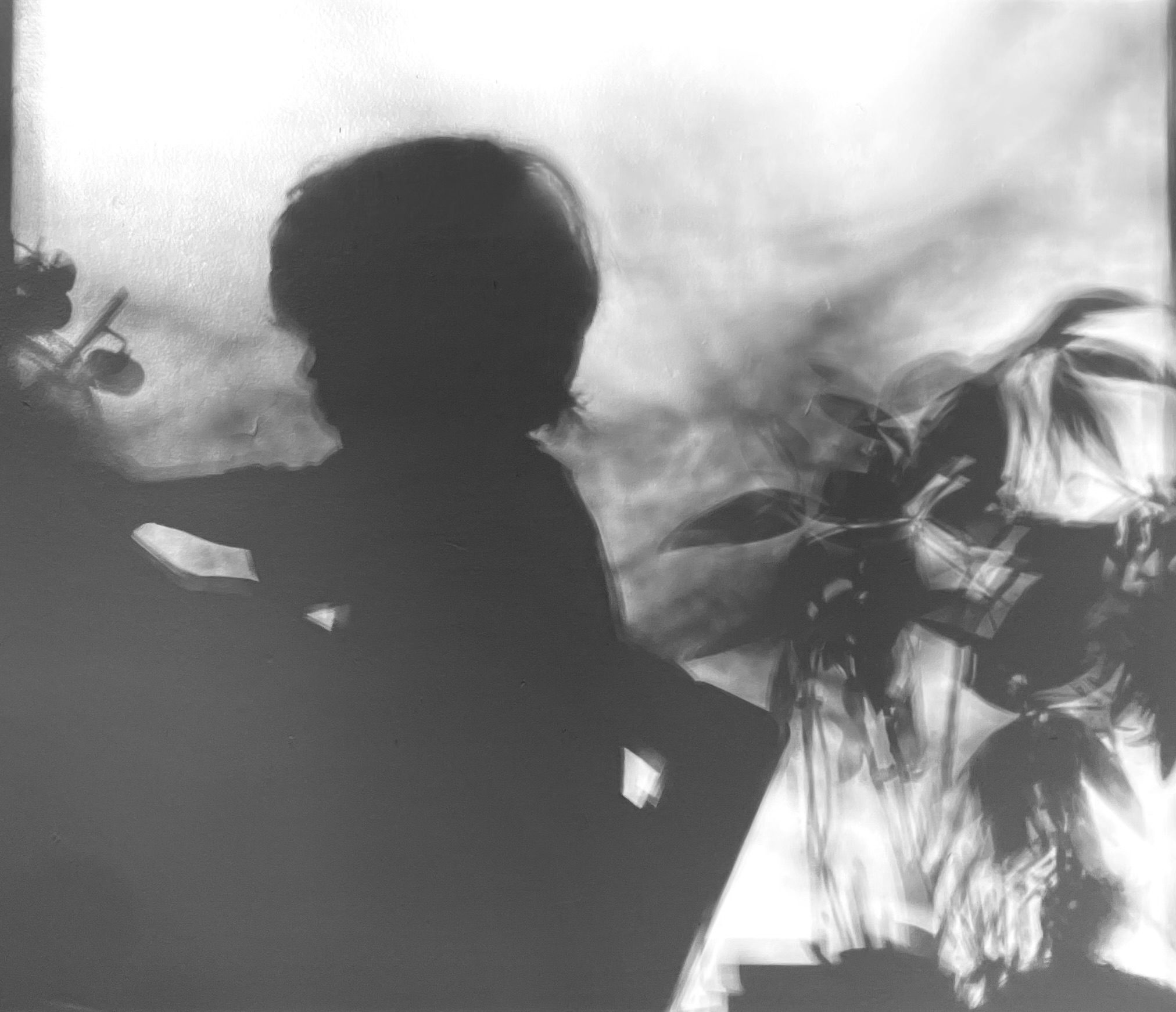 A white background with a dark shadow/silhouette of a young boy in profile with the shadow of a plant behind him.