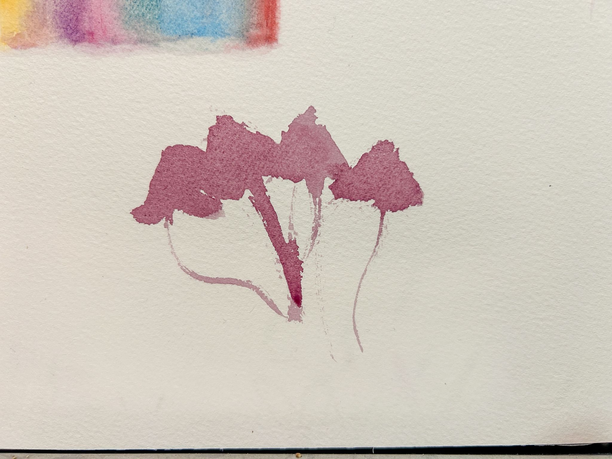 A watercolour of my favourite home plant, Purple Shamrock (Oxalis Triangularis).  I gazed at the plant and then closed my eyes to paint it. I cheated a bit for the stems :)