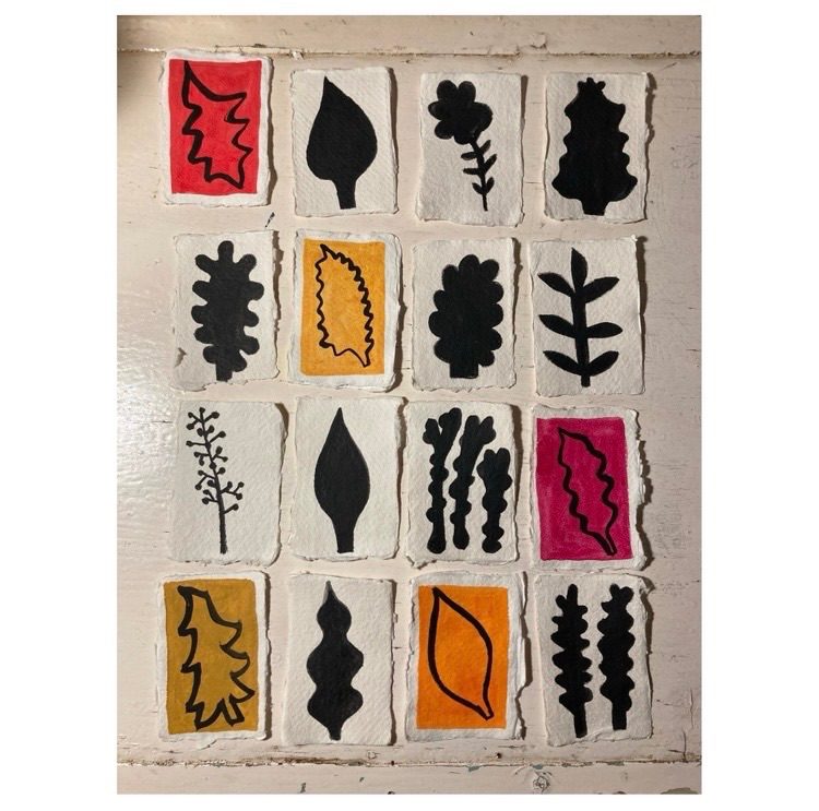 16 plants. Ink and gouache on paper.