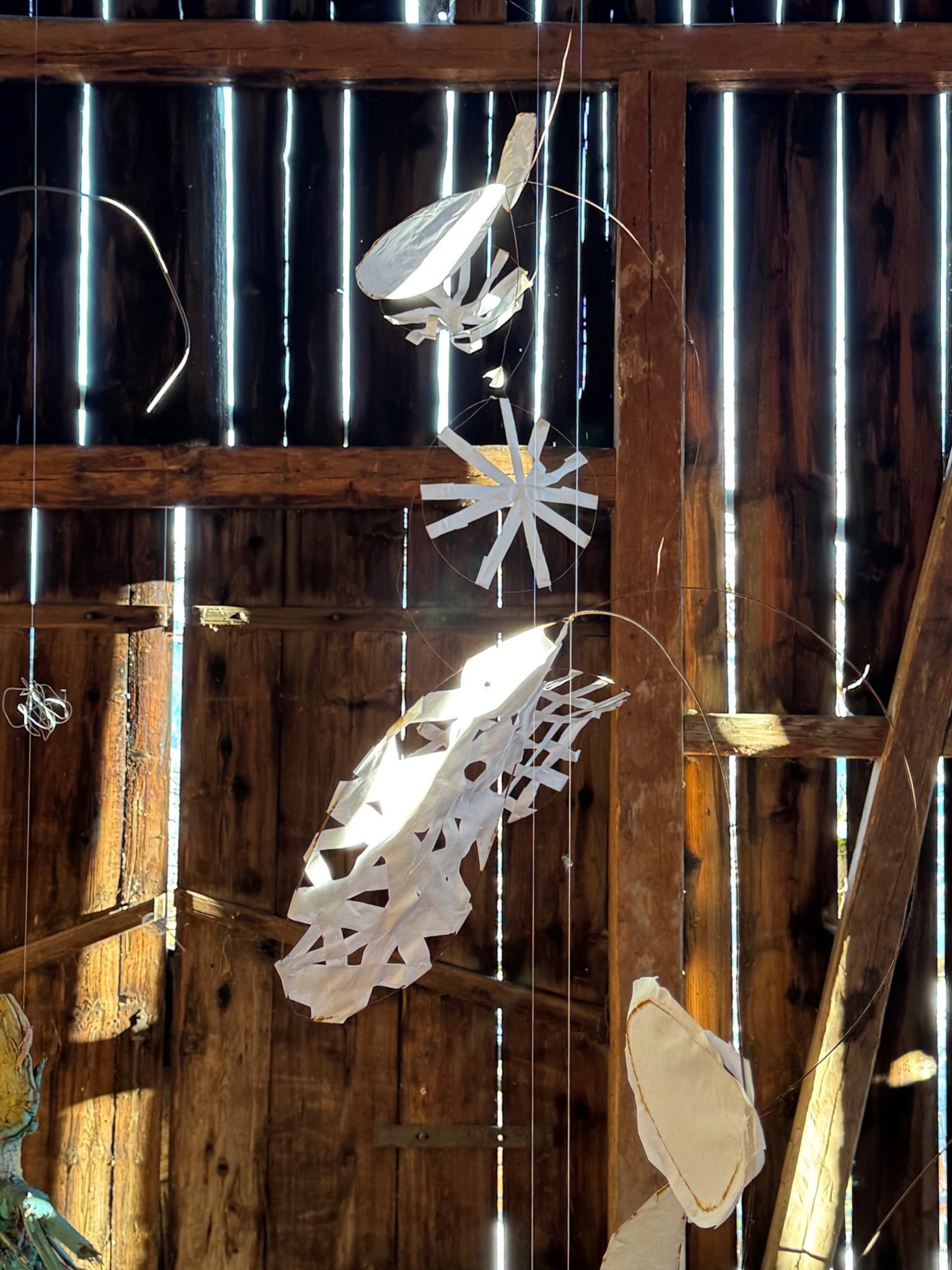 Paper and wire modules in space